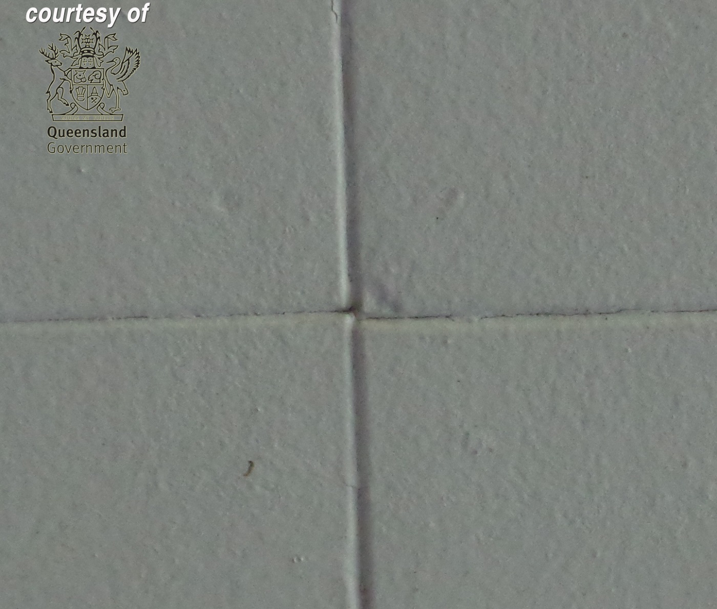 Low density asbestos fibre boards asbestos.nsw.gov.au